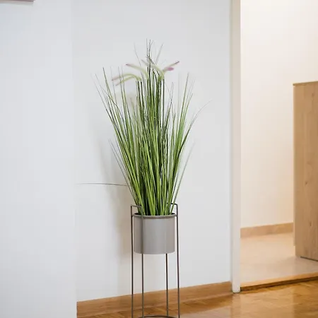 Apartman Naomi